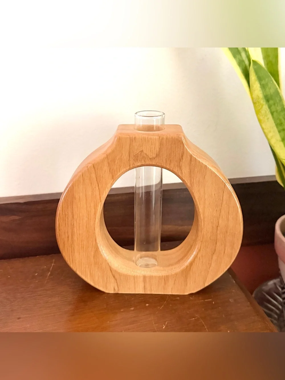 Test Tube Propagation Wood Carved Circle Vase Wall Hanging Shelf Sitting Boho